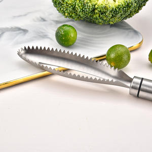 ที่ขูดเกล็ดปลาสแตนเลสแบบใช้มือ แถวคู่ ฟันคม สำหรับทำความสะอาดอาหารทะเล ใช้งานหนัก - Product Image 4