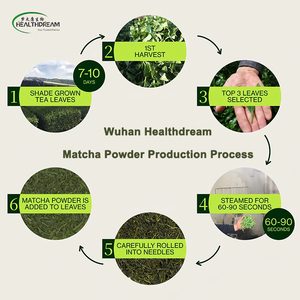 Wuhan Healthdream Organic Matcha Powder EU Certified Origin China Plateau Food Grade <strong>for</strong> <strong>Baking</strong> &amp; Beverages - Product Image 4