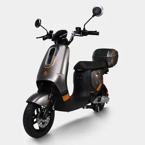 1000W Electric Moped Step Through 2 Wheels Electric Moped Scooter 48V 24A Fat Tire Electric Moped