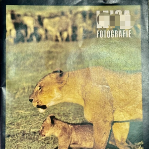 ตัวควบคุม PLC สำหรับงานอุตสาหกรรมระบบอัตโนมัติใหม่ของแท้ - Product Image 1