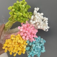 Naturecho Bunga Poppy Kering Laris Manis, Bunga Poppy Emas Perak Asli Ramah Lingkungan, Abadi, DIY, Dekorasi Wisuda & Rumah, Produk Pabrik