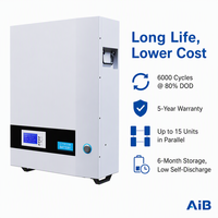 Batterie LiFePO4 murale 25,6 V 100 Ah 2,56 kWh, système de stockage d'énergie domestique, batterie murale solaire pour onduleur hybride