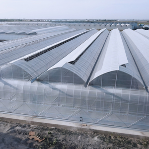Invernadero Gótico con Estructura de Acero Galvanizado, Techo de Tejas Dentadas, Sistema de Ventilación Natural, Estructura Duradera para Cultivo Comercial de Bayas - Product Image 2