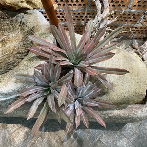 Planta Artificial de Agave Multicolor, Suculenta Tropical Artificial para Decoración del Hogar, Jardín y Paisaje - Product Image 3