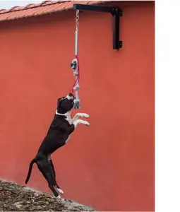エクササイズ犬のジャンプフィットネスに適した高品質の犬用スプリングポール