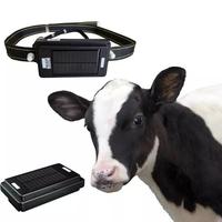 Longue durée de vie de la batterie, 20000 mAh, collier solaire avec suivi GPS pour le bétail, vaches, étanche IP67, traceur GPS 4G pour le bétail