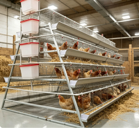 Cage à volailles à 3 niveaux, type A, en treillis métallique épaissi, résistante à la déformation, pour les fermes pondeuses d'Amérique du Sud