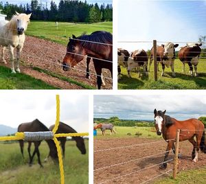 Goedkope dubbele stroombron slimme elektrische omheining voor paarden en runderen - Product Image 4