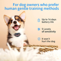 Wiederauf lad bares IPX6 wasserdichtes Smart Anti Barking Collar Anti Barking Gerät für Hunde