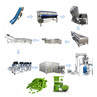 Industriële automatische roestvrijstalen 304 turnkey complete machines voor het vriesvoorraad van groenten en fruit, zoals broccoli, sperziebonen en aardbeien