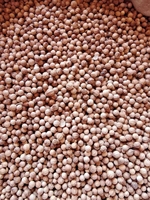 Nouvelle Récolte Graines de Coriandre Entières (Dhania) Séchées Brutes – Approvisionnement en Gros pour Usines, Emballage Personnalisé Disponible