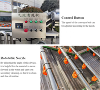 Fabrieksdirect, populaire automatische fruit- en groentewasmachine met luchtbellen