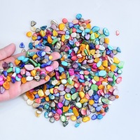 Éclats de coquillages naturels irréguliers et colorés pour les créations de mosaïque DIY et la décoration peinte à la main
