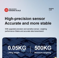 Báscula de Grúa Portátil de 500 kg con Pantalla Digital Electrónica, Báscula de Eje con Gancho de 300 kg, Verificador de Peso