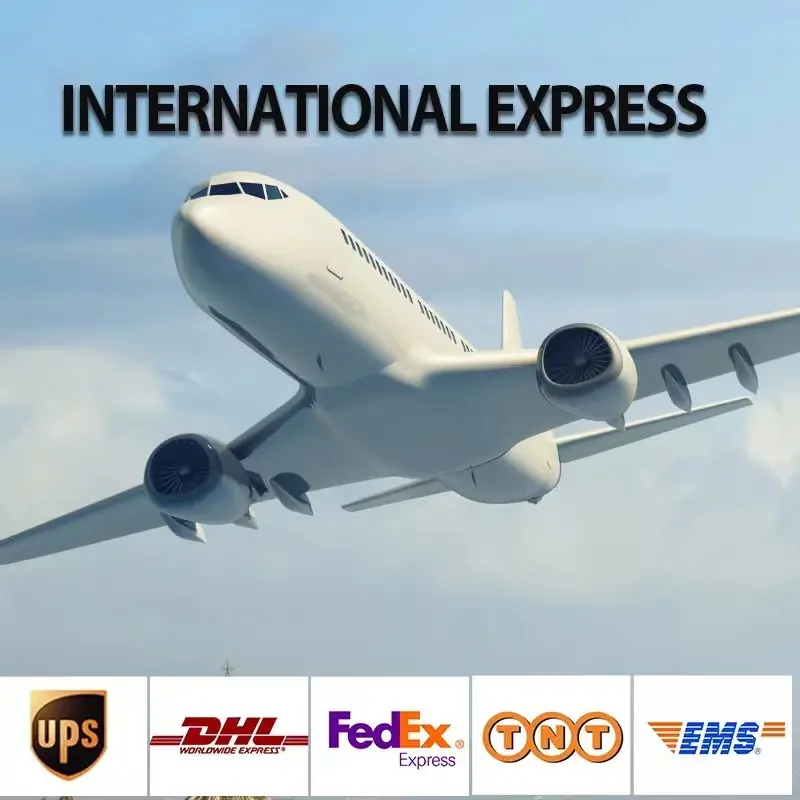 Professional Freight Forwarder DDP Sea Air Shipping Agent Door to Door China to America Canada USA Africa Asia Europe Germany uk