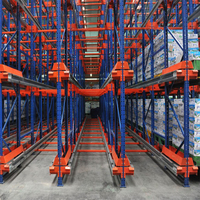 Hochbelastbares, maßgeschneidertes Stahl-Radio-Shuttle-Palettenregalsystem mit 500-1500 kg Tragkraft, korrosionsbeständig, pulverbeschichtet, verstellbar