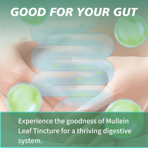 Extracto de Hoja de Gordolobo Orgánico en Gotas, Suplemento Herbal para la Limpieza y Desintoxicación Pulmonar, Venta Caliente - Product Image 4