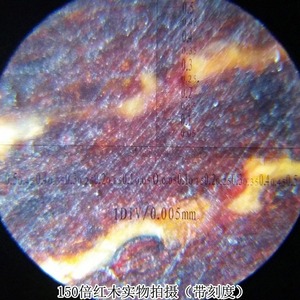 150x Dual-<b>Tube</b> Microscope, Scale Measurement, High-Magnification, <b>LED</b>-Enhanced Professional-Grade High-Definition Magnifying - Product Image 2