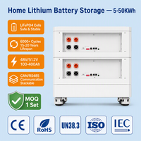 Batteria agli ioni di litio LiFePO4 48V 51.2V 100Ah 200Ah 314Ah 5kWh 10kWh 16kWh per accumulo energetico domestico, box e rack prismatici