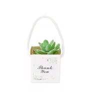 Sac d'emballage personnalisé pour cactus, emballages pour plantes succulentes, boîte cadeau pour plantes avec poignées en plastique