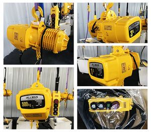 Allman polipasto electrico รอกไฟฟ้า <span class=keywords><strong>20Ton</strong></span> 10Ton 5 ตัน 3 ตัน 2 ตัน 1 ตันรอกโซ่ไฟฟ้า - Product Image 6