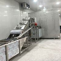 Industriële IQF Tunnelvriezer, snelle individuele snelvriezing, hoge capaciteit 4000kg/u voor fruit, groenten en vis.