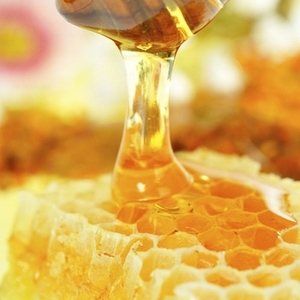 Miel Cruda Orgánica Hundred Flowers, Grado Premium, en Botellas de Vidrio, para Desayunos, Bebidas, Salsas para Pan, Esencial para el Hogar, Uso Diario - Product Image 1
