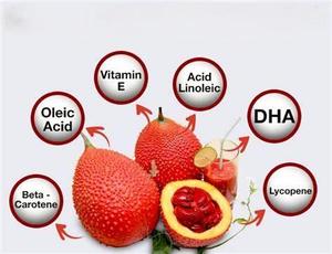 Polvo de extracto de fruta Gac 10:1 extracto de Momordica Cochinchinensis - Product Image 4
