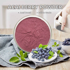 Extracto de Açaí en Polvo de Grado Alimenticio con Vitaminas y Antocianinas, Envasado al Vacío en Tambor - Product Image 3