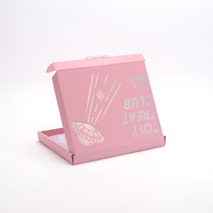 <span class=keywords><strong>A4</strong></span> A3 các tông sóng hộp Bưu Chính Holographic vận chuyển gửi thư hộp Phong Bì Thư Lớn Hộp Bưu Chính - Product Image 5