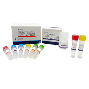 Kit Foregene Quick Easy Cell Direct RT-qPCR para el descubrimiento de fármacos de ácido nucleico pequeño de alto rendimiento - Product Image 4