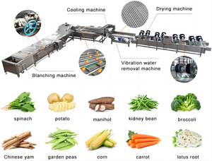 Máquina Industrial VBJX para Lavar y Secar Frutas y Verduras como Dátiles, Mangos, Piñas y Otras Especies - Product Image 6
