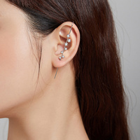 Boucles d'oreilles lustre en argent S925 plaqué platine Style coréen accessoire de mode individuel BSE495
