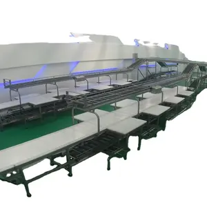 High quality industrial automatic Slaughter conveyor belt line equipment for poultry slaughterhouse