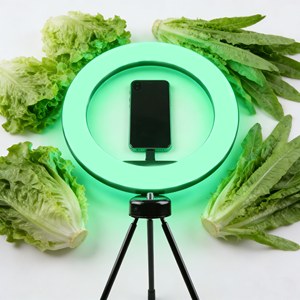 Aro de Luz LED con Soporte Triangular y Luz de Video Regulable de 8 Pulgadas con Control Remoto para <span class=keywords><strong>YouTube</strong></span>, Podcast, Cine - Product Image 4