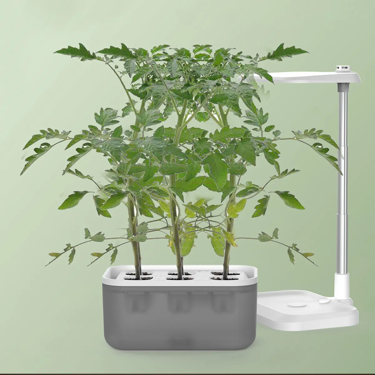Kit de hidroponia inteligente para jardim, mini vaso e plantador com luz LED para crescimento doméstico, mesa interna inteligente verde