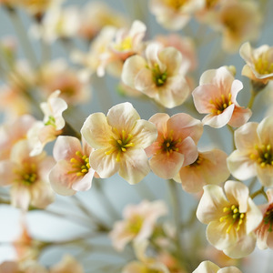 Venta al por mayor pequeña Manzanilla tela de seda artificial Tung Gerbera <span class=keywords><strong>flores</strong></span> blanco salvaje Margarita <span class=keywords><strong>flores</strong></span> para la boda Día de San Valentín - Product Image 3