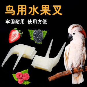 <b>Bird</b> <b>Feeder</b> Plastic Rectangle Reusable For Parrot Budgies Cockatiels Small <b>Large</b> Fruit Fork - Product Image 2