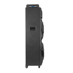 Système de cinéma maison actif avec double caisson de basses de 12 pouces pour fête, batterie extérieure, lumière RVB, double microphone, fabriqué à Guangzhou - Product Image 5
