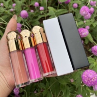 Rouge à Lèvres Liquide Mat Imperméable Cosmétiques Personnalisés de Luxe à Étiquette Privée, 20 Couleurs