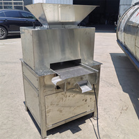 Commerciële hydraulische sapcentrifuge met motor voor grote vruchten, roltype voor citroenen, passievruchten, geschikt voor gebruik in fruitverwerkingsbedrijven