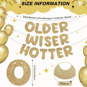 Older Wiser Hotter Gold Glitter Birthday <b>Banner</b> Party Decoration - Product Image 3