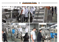 Usine chinoise, machine à fabriquer du beurre de cacahuète, de noisettes et de noix de cajou, 500 kg/h, ligne de production complète de beurre de cacahuète