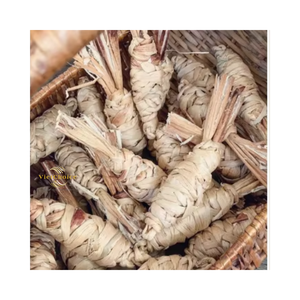 Premium <b>Water</b> Hyacinth Carrot Chew <b>Toy</b> Handmade Natural Pet <b>Toy</b> Bulk Wholesale Supply - Product Image 3