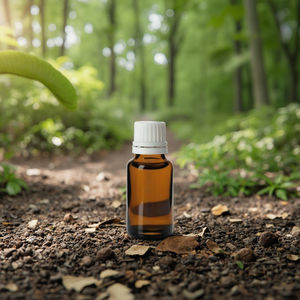 Pure Natural Tonka Bean Aceite esencial absoluto 100% Pure Natural - Product Image 5