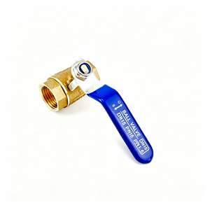 Robinet à levier à œillet sphérique en acier inoxydable 304, filetage femelle NPT BSP, passage pleine largeur, pour eau, gaz, huile, avec poignée durable, kit d'utilisation - Product Image 6