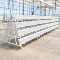 Système de culture hydroponique en gouttière pour la culture de fraises en PVC pour l'agriculture, la ferme et la serre