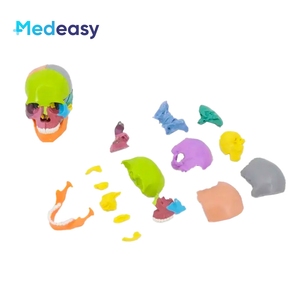 Modèle d'anatomie du crâne humain <span class=keywords><strong>Measy</strong></span>, 15 parties détachables, codées par couleur, mini PVC 1:2 pour l'enseignement médical - Product Image 1