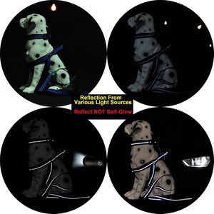 Conjunto de Correa y <span class=keywords><strong>Collar</strong></span> para Perro de Nailon Acolchado Suave, Ajustable, con Hebilla de Seguridad Resistente y Duradera, de Lujo, para Pasear - Product Image 4