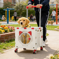 Poussette pliable transparente pour animaux de compagnie, pour petits chiens et chats, chariot de transport et de rangement avec roues détachables